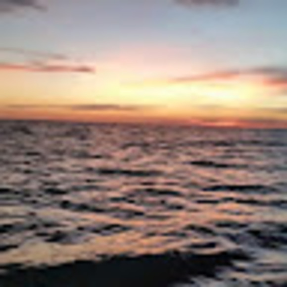 Meet your Posher, A360 - Picture 1 of 1